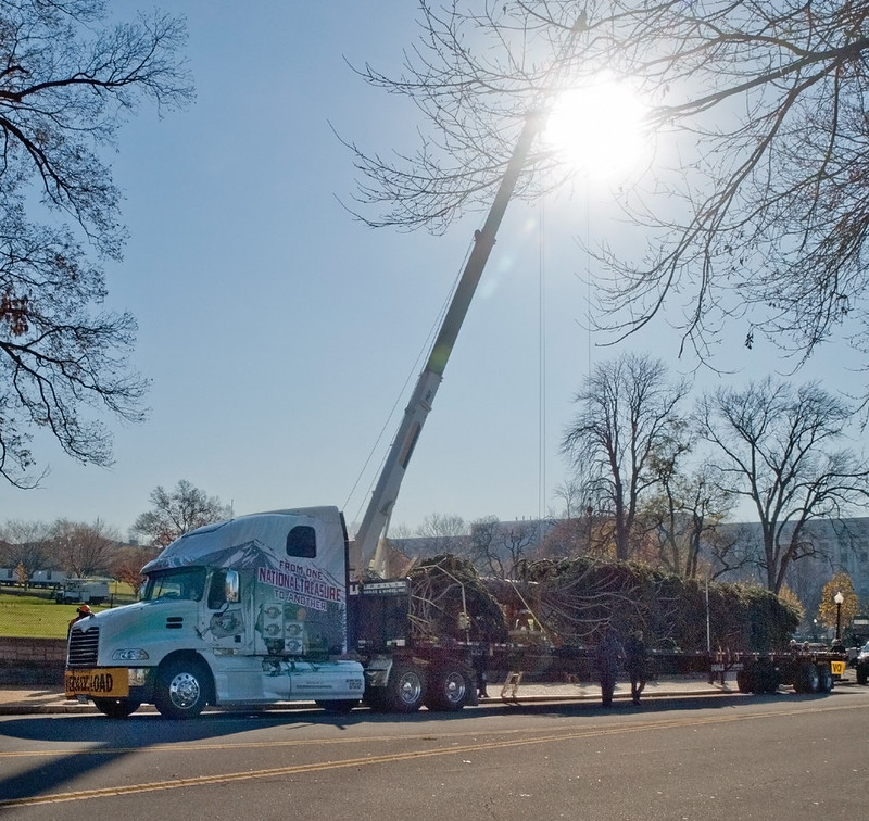The 2012 Capitol Christmas Tree arrives in Washington, D.C. tied to a large trailer. The truck cab has a sign that reads "From one national treasure to another."